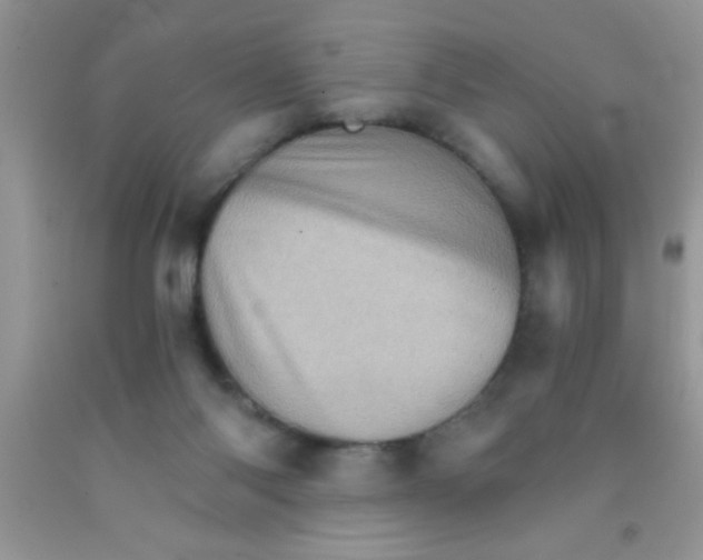 X0000091340118200709071226