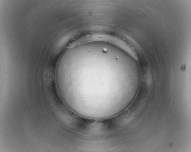 X0000091340119200709071226