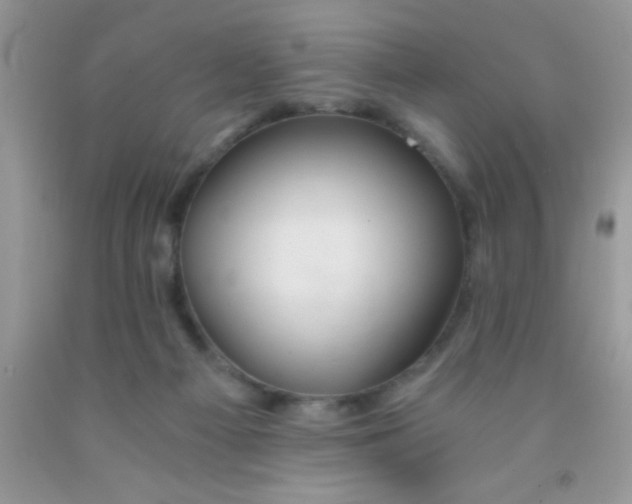 X0000091340121200709071226