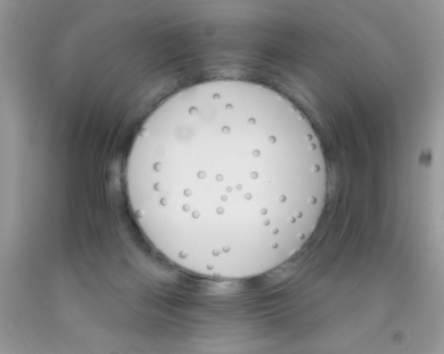 X0000091340122200709071226