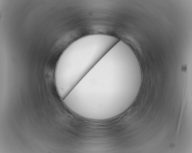 X0000091340123200709071226