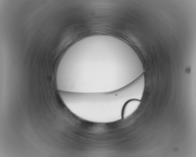 X0000091340124200709071226