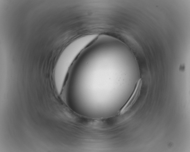 X0000091340125200709071226