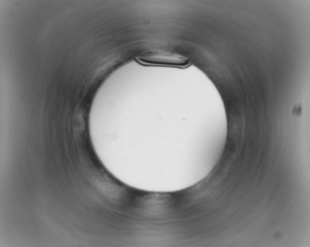 X0000091340128200709071226