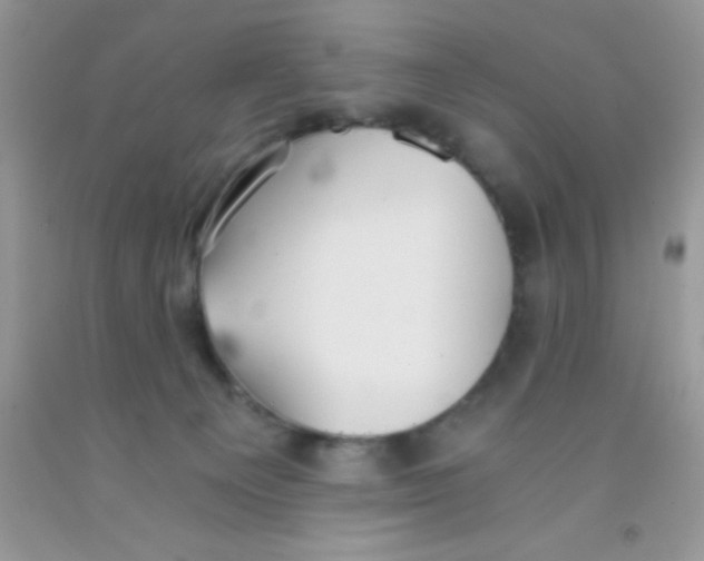 X0000091340129200709071226