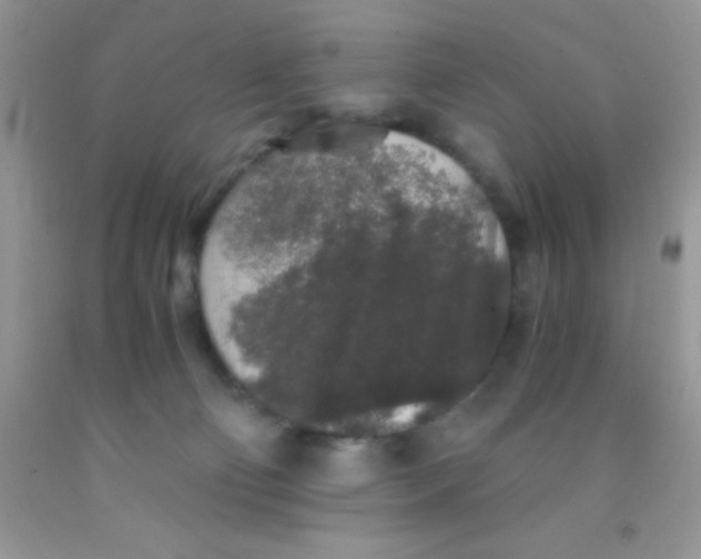 X0000091340130200709071225