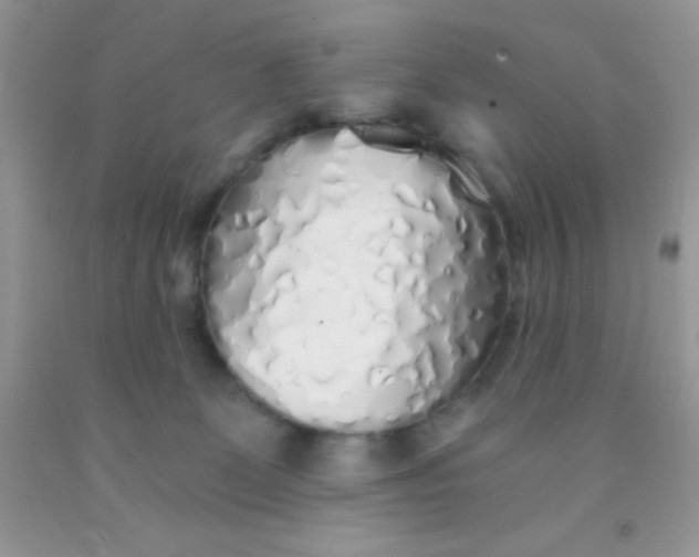 X0000091340131200709071225