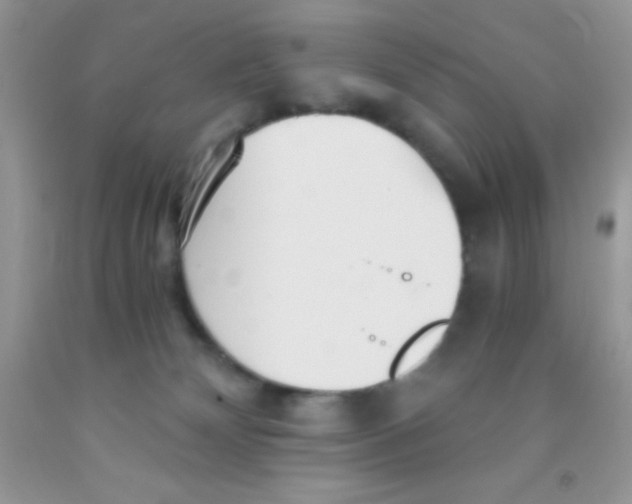 X0000091340132200709071225