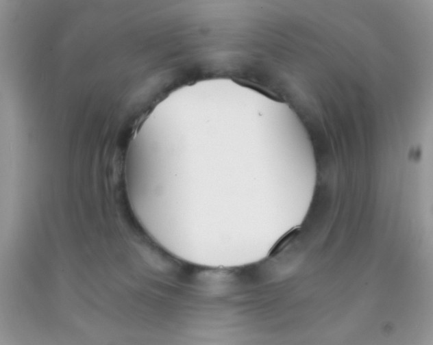 X0000091340133200709071225