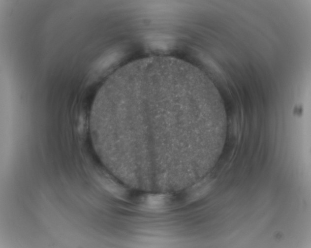 X0000091340134200709071225