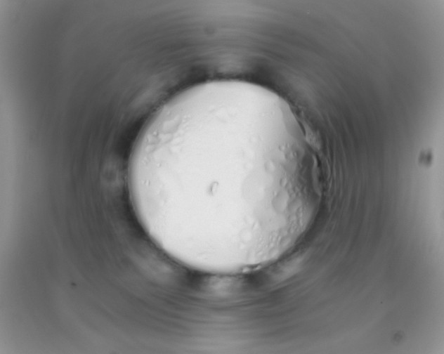 X0000091340135200709071225