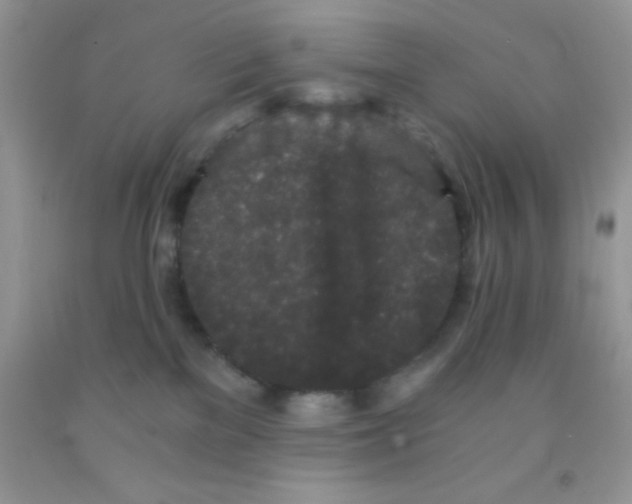 X0000091340137200709071225