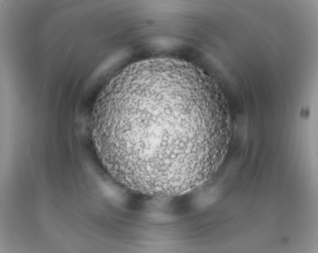 X0000091340138200709071225