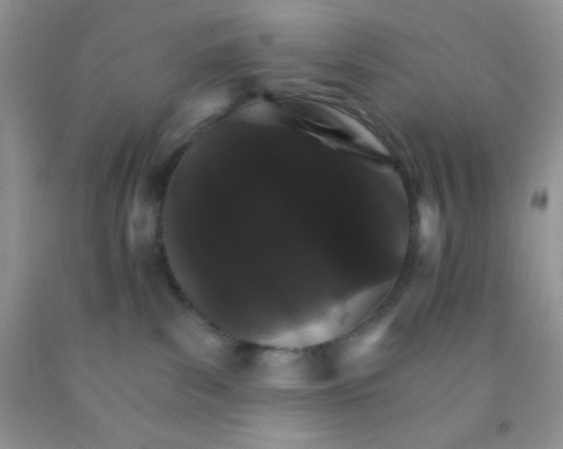 X0000091340139200709071225