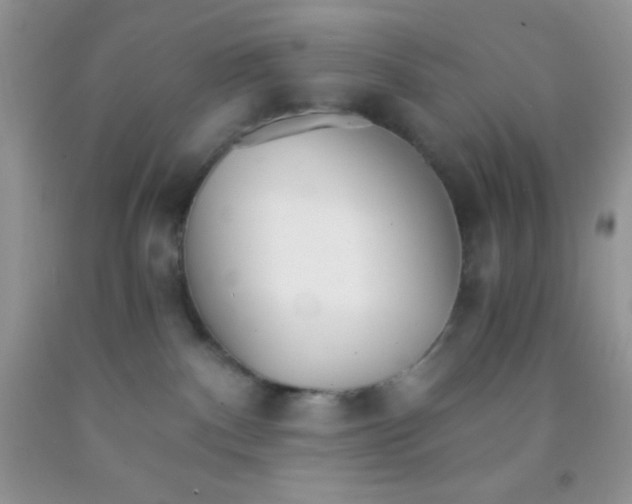 X0000091340140200709071225