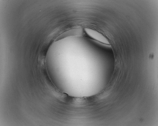 X0000091340141200709071225