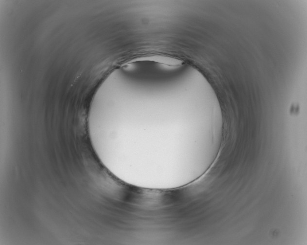 X0000091340144200709071225