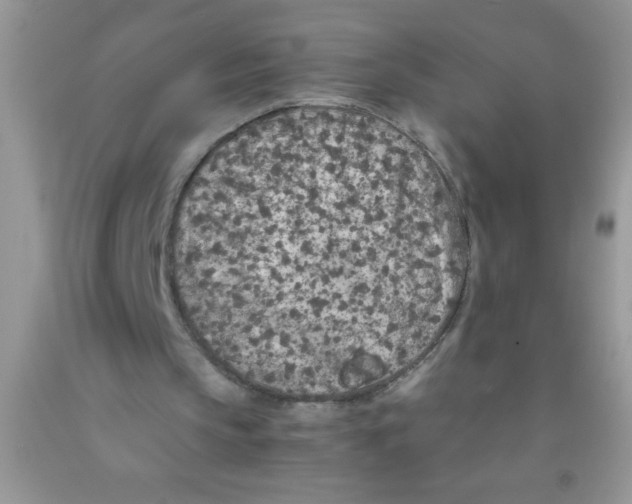 X0000091340145200709071225