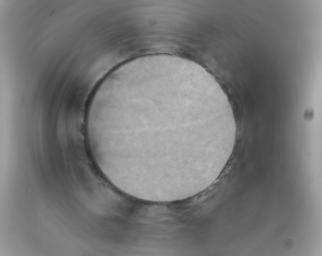 X0000091340146200709071225