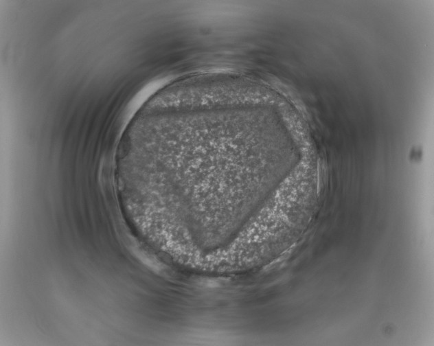 X0000091340147200709071225