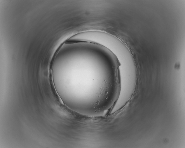 X0000091340148200709071225