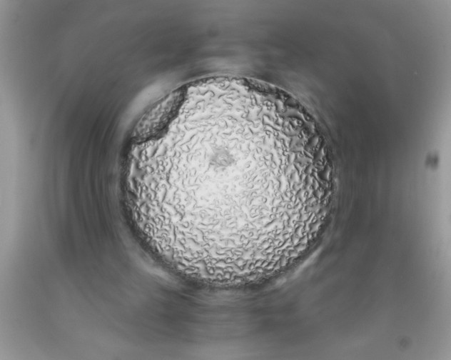 X0000091340149200709071225