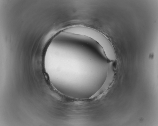 X0000091340150200709071225