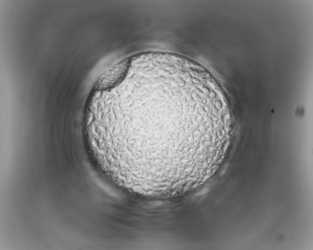 X0000091340151200709071225