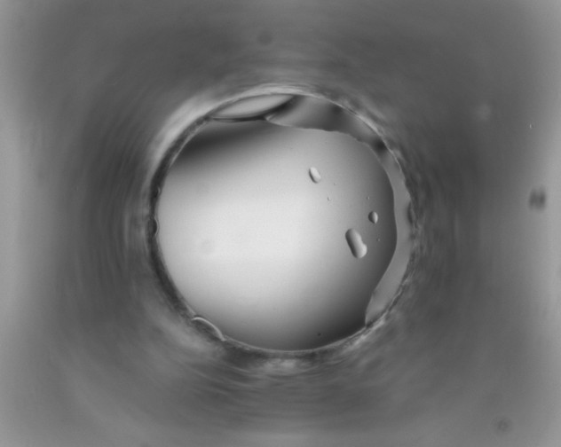 X0000091340152200709071225