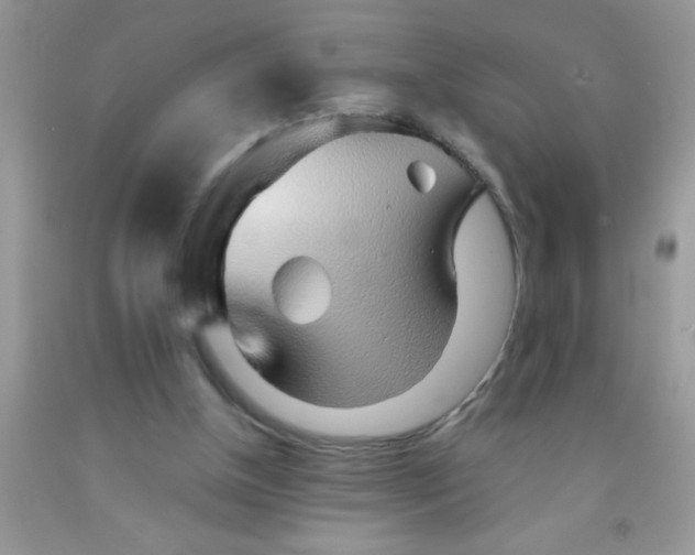 X0000091340154200709071225