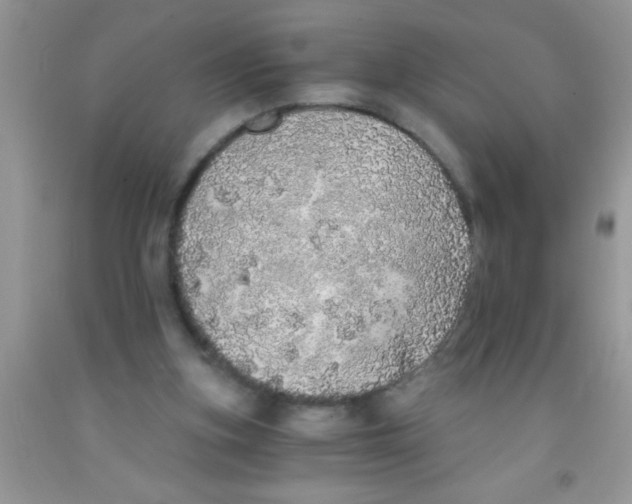 X0000091340155200709071225