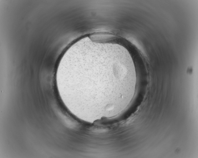 X0000091340156200709071225