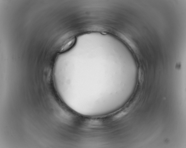 X0000091340157200709071225