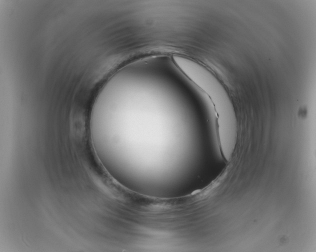 X0000091340158200709071225