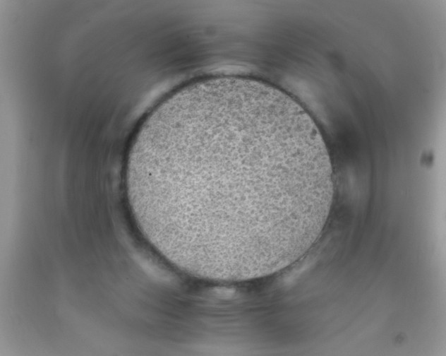 X0000091340159200709071225