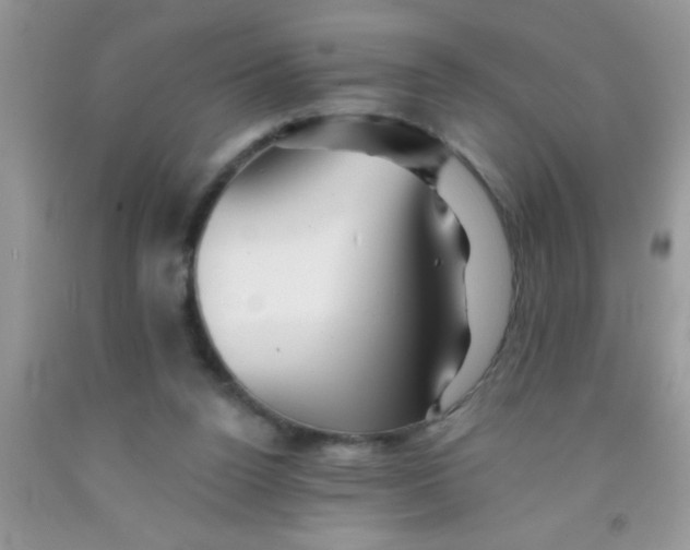 X0000091340160200709071225