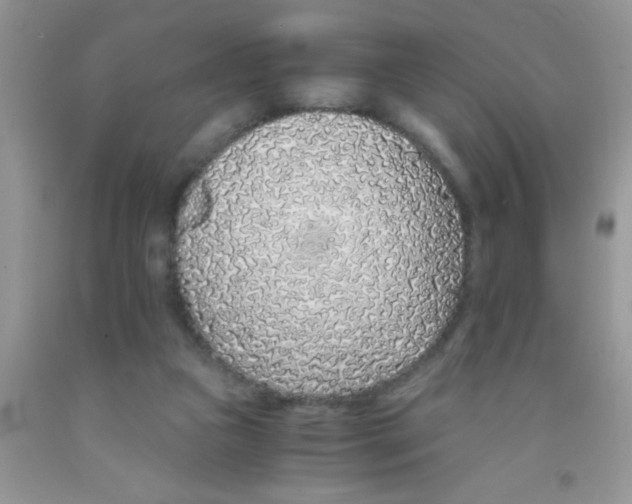 X0000091340161200709071225