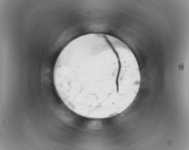 X0000091340162200709071225