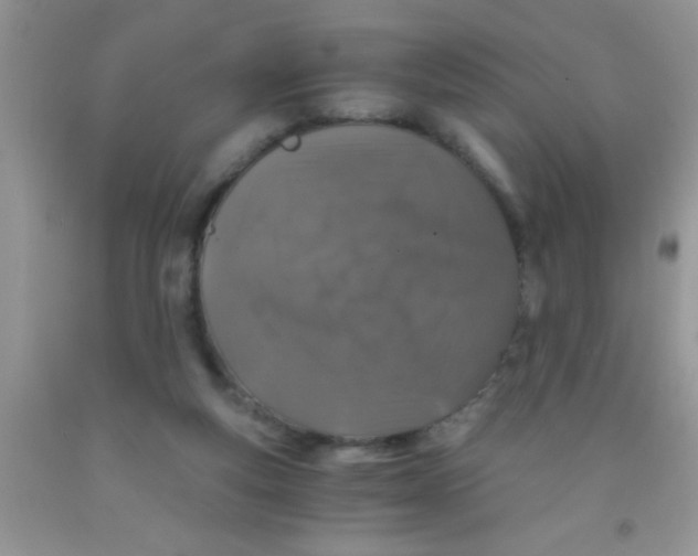 X0000091340163200709071225