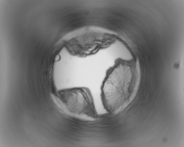 X0000091340165200709071225