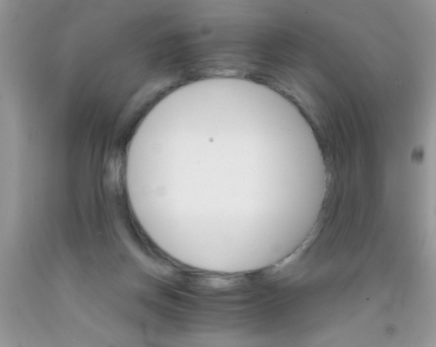 X0000091340166200709071225