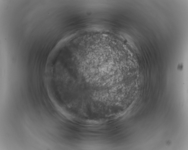 X0000091340167200709071225