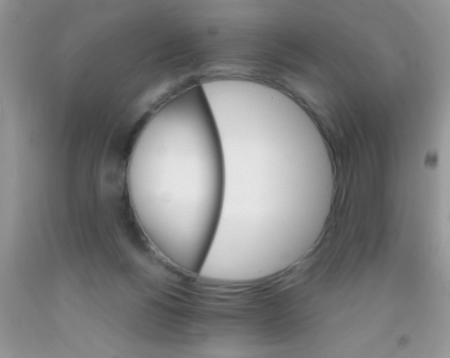 X0000091340168200709071225