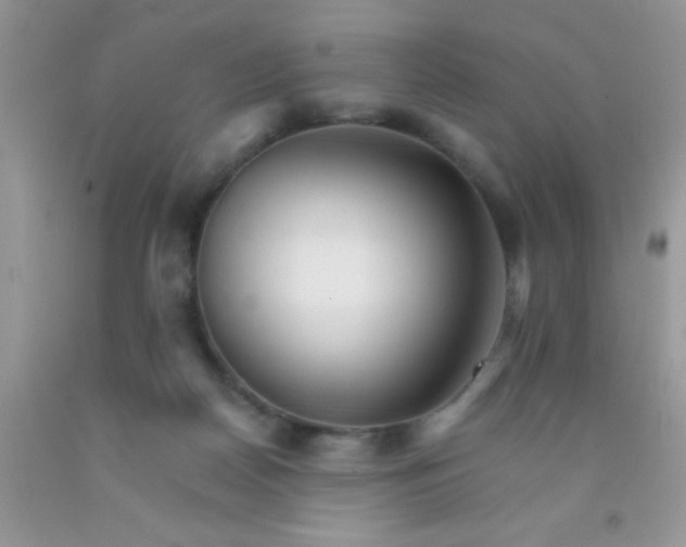 X0000091340170200709071225