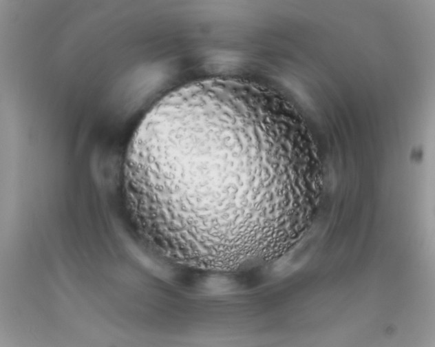 X0000091340171200709071225