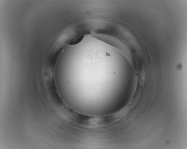 X0000091340172200709071225