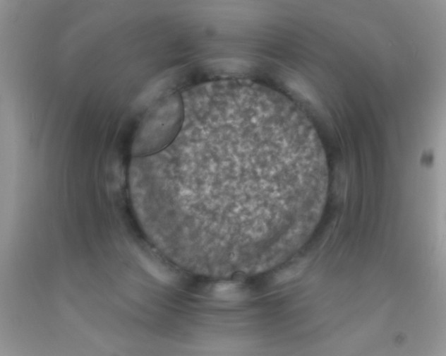 X0000091340173200709071225