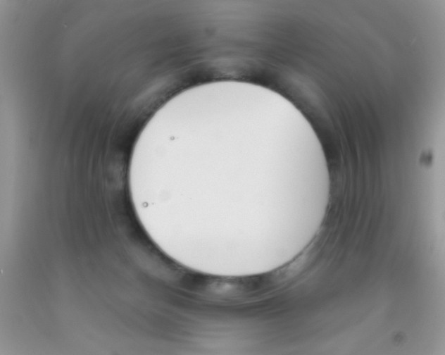 X0000091340174200709071225