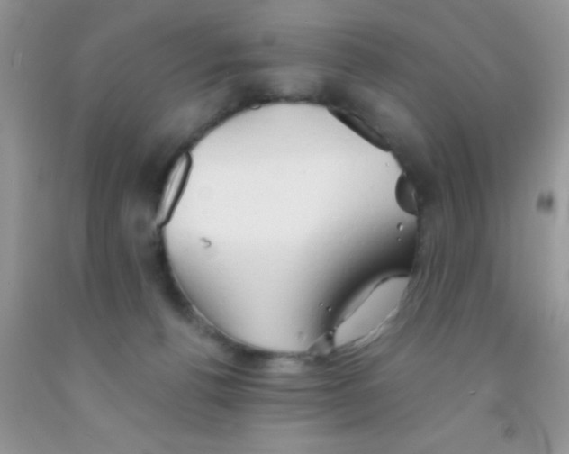 X0000091340176200709071225