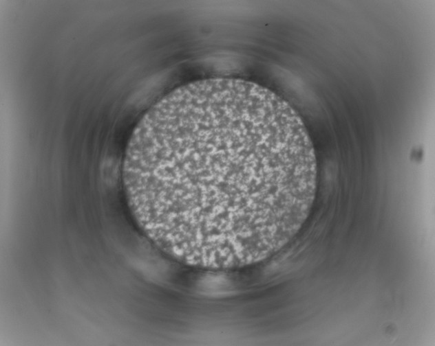 X0000091340177200709071225